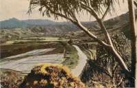 Hawaii Post Cards 1945 11