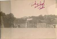 Japan Post Cards December 1945 10